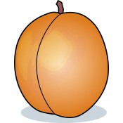 aprikos